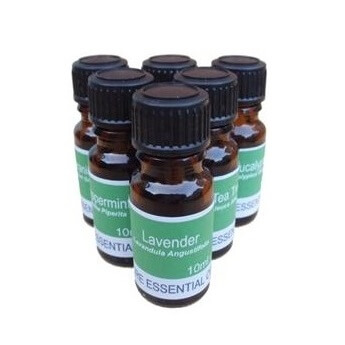 6 Of Our Best Selling 10ml Pure Essential Oils - Plus One Aromatherapy Storage Box **Set B (Mango Wood Box) 