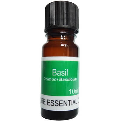 Basil Essential Oil 10ml - Ocimum Basilicum.
