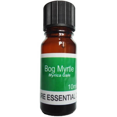 Bog Myrtle Essential Oil 10ml - Myrica Gale