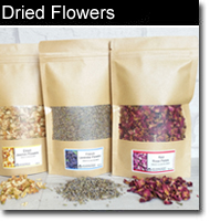 Botanicals & Dried Flowers