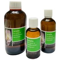 Camellia Carrier Oil, Cold Pressed 
