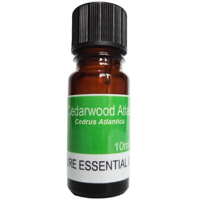 Cedarwood Atlas Essential Oil 10ml - Cedrus Atlantica