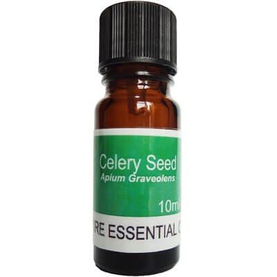 Celery Seed Essential Oil 10ml - Apium Graveolens