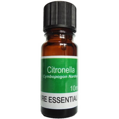Citronella Essential Oil 10ml - Cymbopogon Nardus