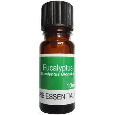 Eucalyptus Essential Oil 10ml - Blue Gum - Eucalyptus Globulus