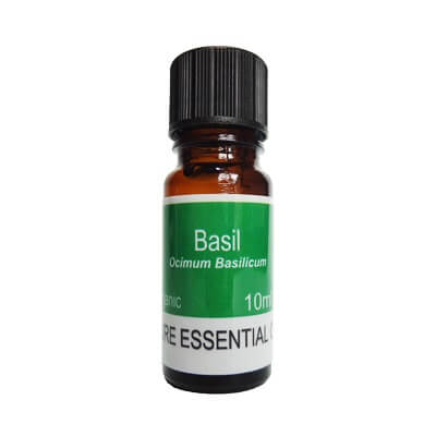 Organic Basil Essential Oil 10ml - Ocimum Basilicum Oil