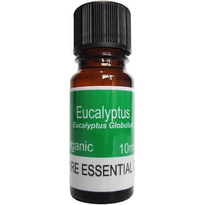 Organic Eucalyptus Essential Oil 10ml - Eucalyptus Globulus Oil
