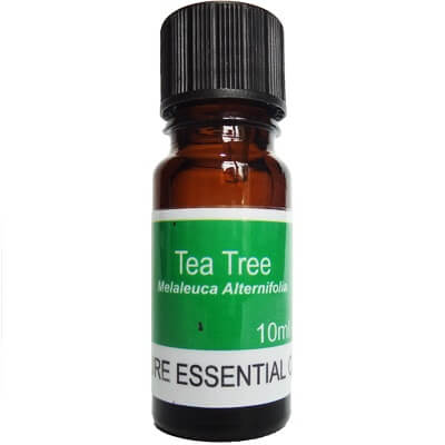 Tea Tree Essential Oil - Melaleuca Alternifolia