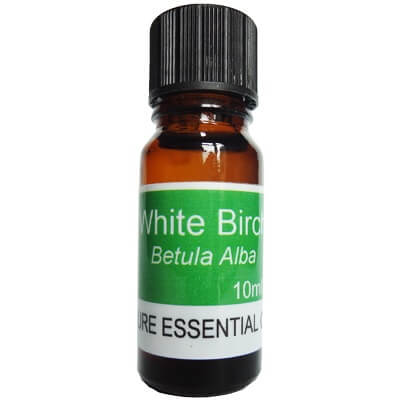 Birch White Essential Oil 10ml - Betula Alba