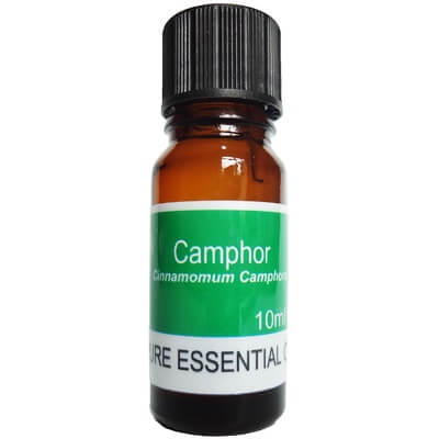 Camphor Essential Oil 10ml - Cinnamomum Camphora Oil