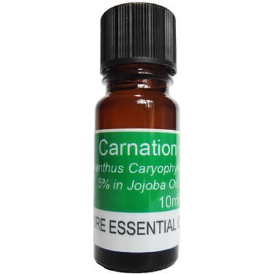 Carnation Abs Diluted - 5% in Jojoba Oil 10ml - Dianthus Caryophyllus