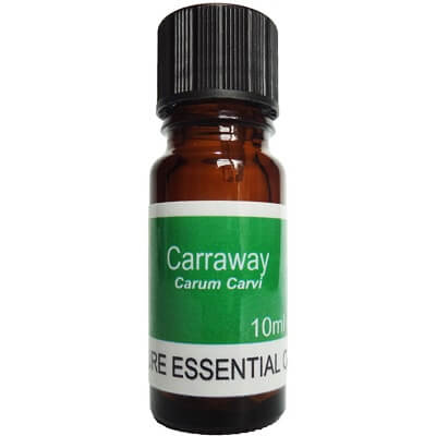 Caraway Essential Oil 10ml - Carum Carvi