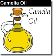 Camellia Carrier Oil, Cold Pressed 