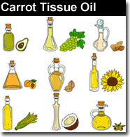 Carrot Tissue Carrier Oil 