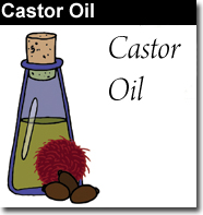 Castor Bean Carrier Oil