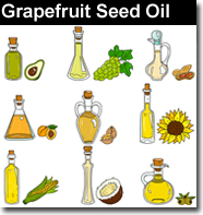 Grapefruit Seed Carrier Oil