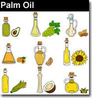 Palm Carrier Oil Cold Pressed