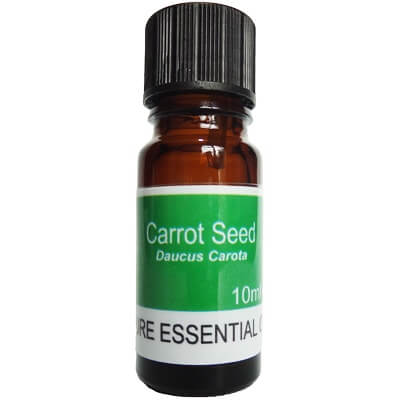 Carrot Seed Essential Oil 10ml - Dauca Carota