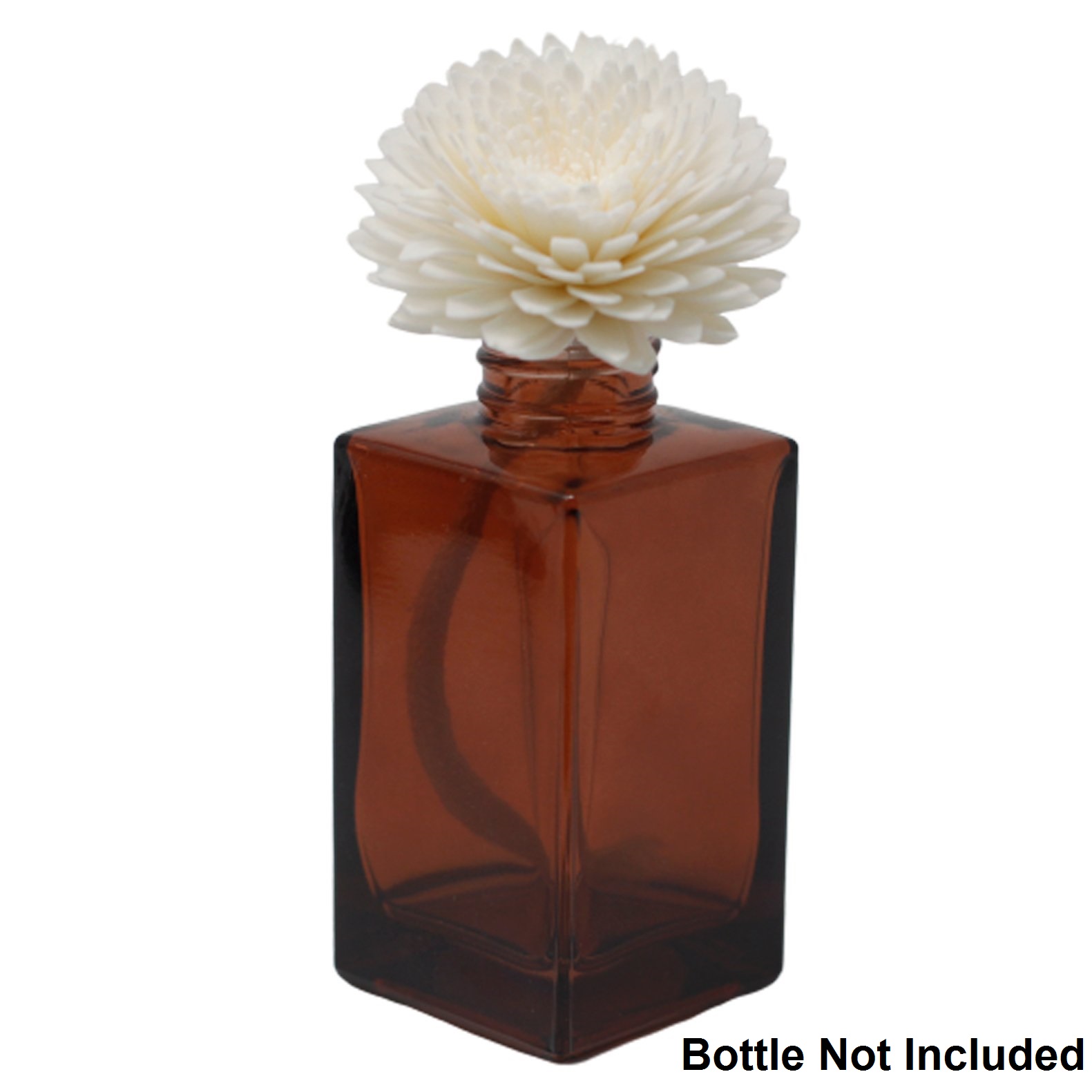 Natural Diffuser Flowers - Large Carnation on String