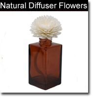 Natural Diffuser Flowers