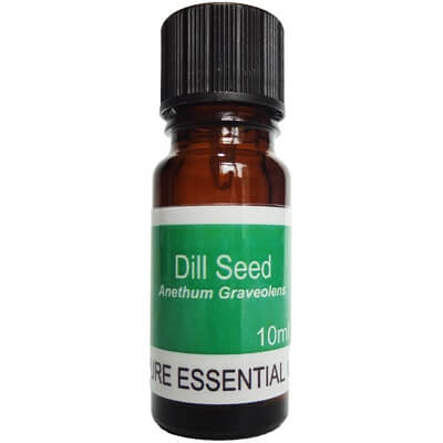 Dill Seed Essential Oil 10ml - Anethum Graveolens