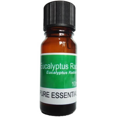 Eucalyptus Radiata Essential Oil 10ml  