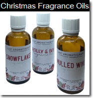 Christmas Winter Fragrance Oils