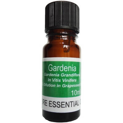Gardenia Diluted Absolute 5% Essential Oil - 10ml
