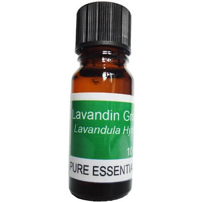 Lavandin Grosso Essential Oil - 10ml  