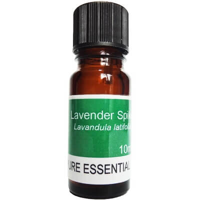 Lavender Spike Essential Oil - 10ml  