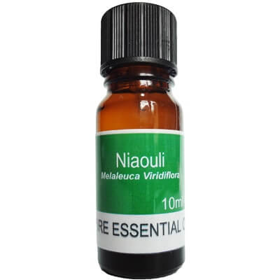 Niaouli Essential Oil - 10ml 