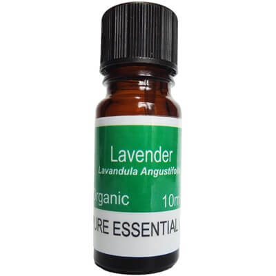 French Lavender Organic Essential Oil - 10ml 