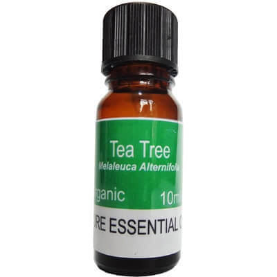 Tea Tree Organic Essential Oil - 10ml 