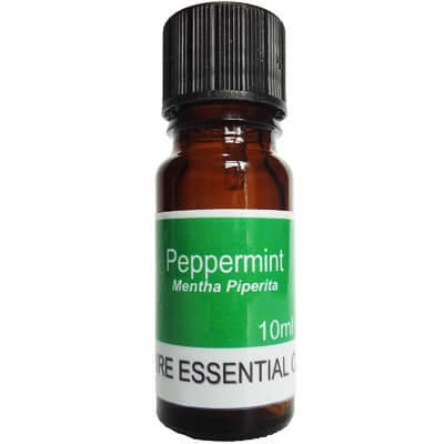 Peppermint Essential Oil - 10ml 