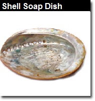 Natural Shell Soap Dish