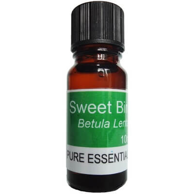 Birch Sweet Essential Oil 10ml - Betula Lenta